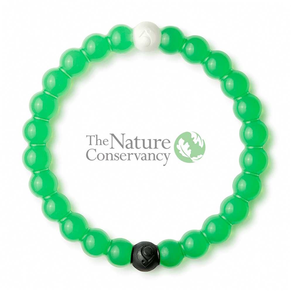 Lokai - Environment Lokai (1080x1080), Png Download