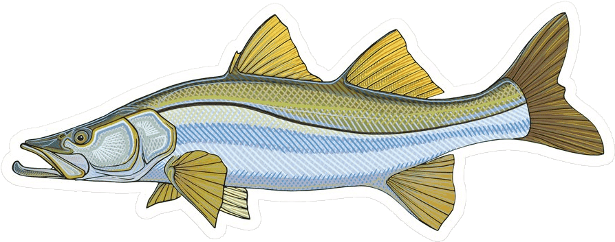 Casey Underwood Snook (1024x1024), Png Download