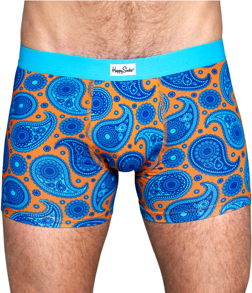 Cool Men's Boxer Brief In Blue Paisley Design At Happy (548x600), Png Download