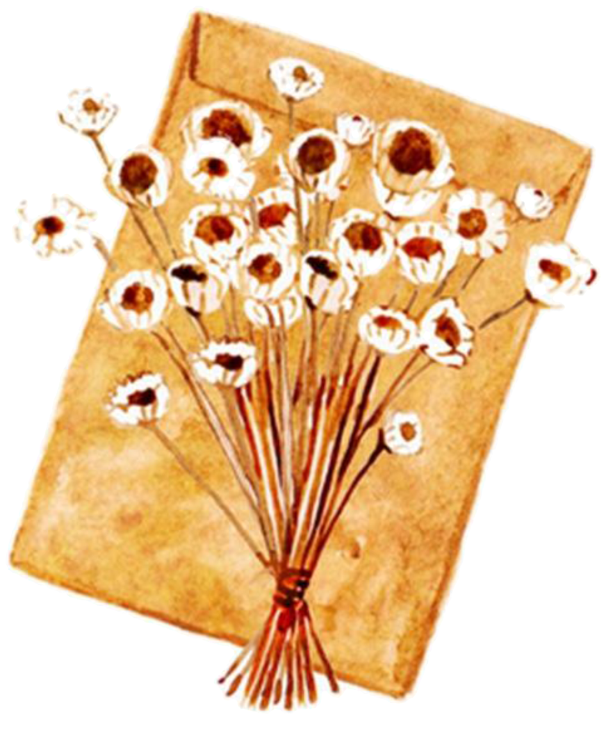 Fresh Paper Bag Hand Drawn Chrysanthemum Decorative (1024x1302), Png Download