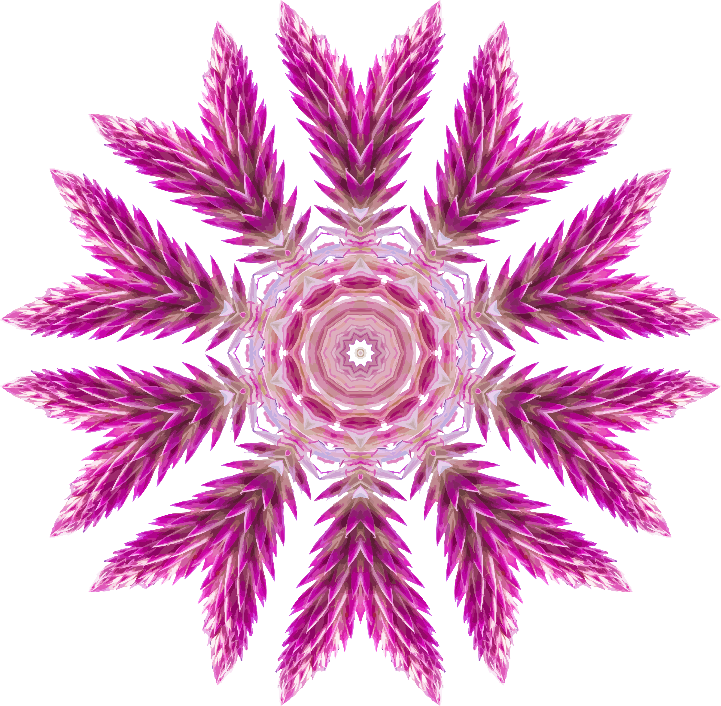 This Free Icons Png Design Of Wildflower Kaleidoscope (2400x2350), Png Download