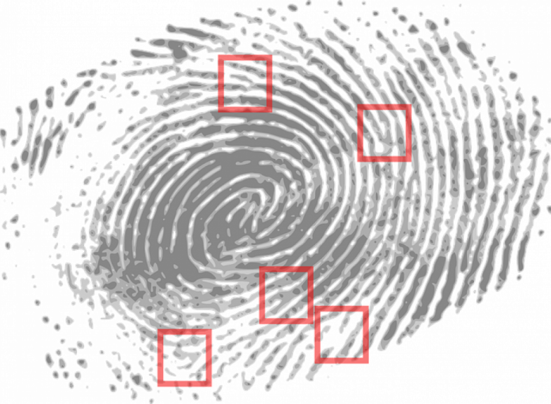 The Identity We Can't Change (780x572), Png Download