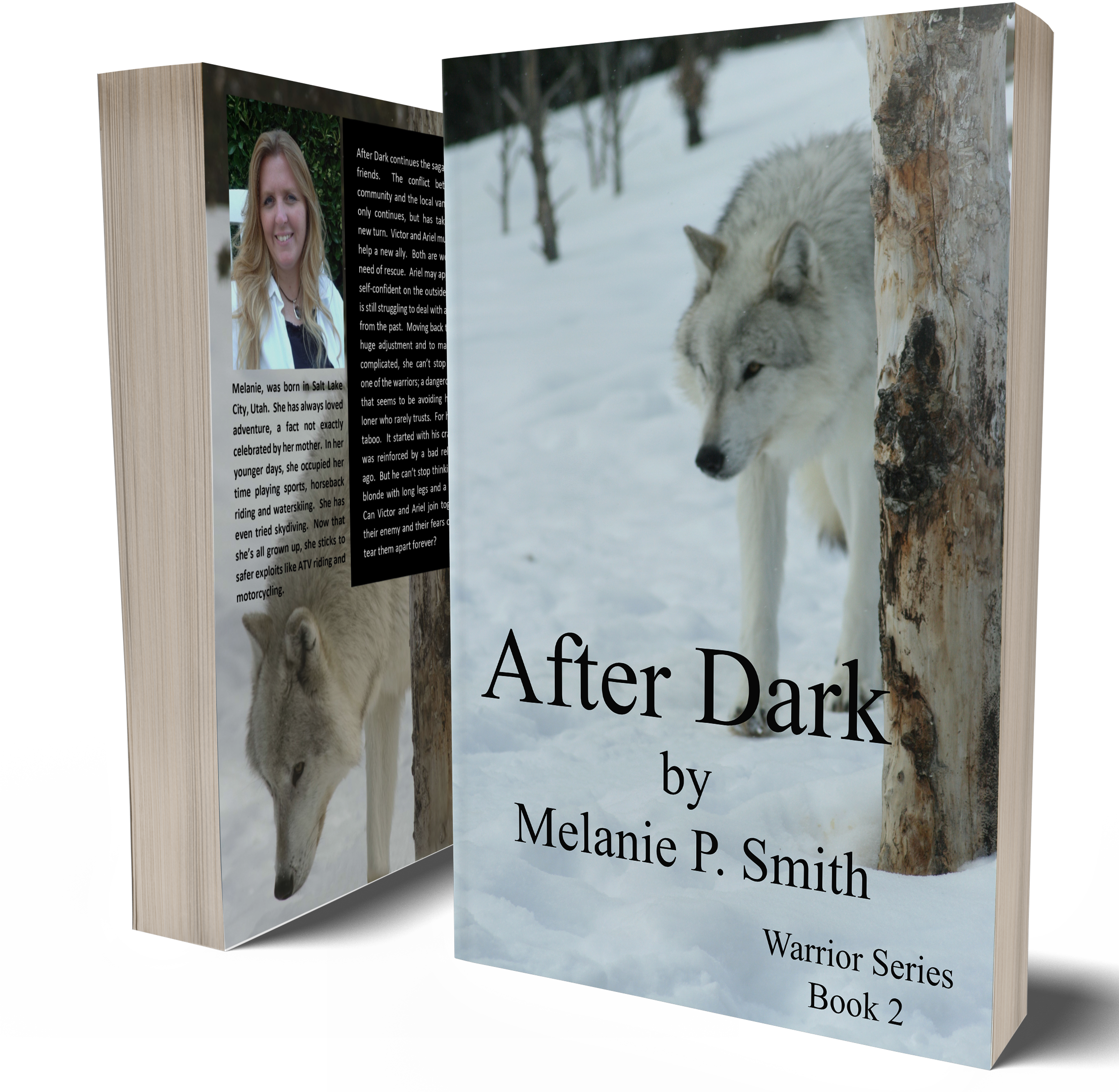 Warrior Series Book (2328x2337), Png Download