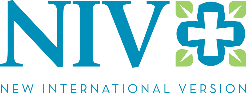 So Why Does Mary Kassian Think The New Niv Is Bad (1147x571), Png Download