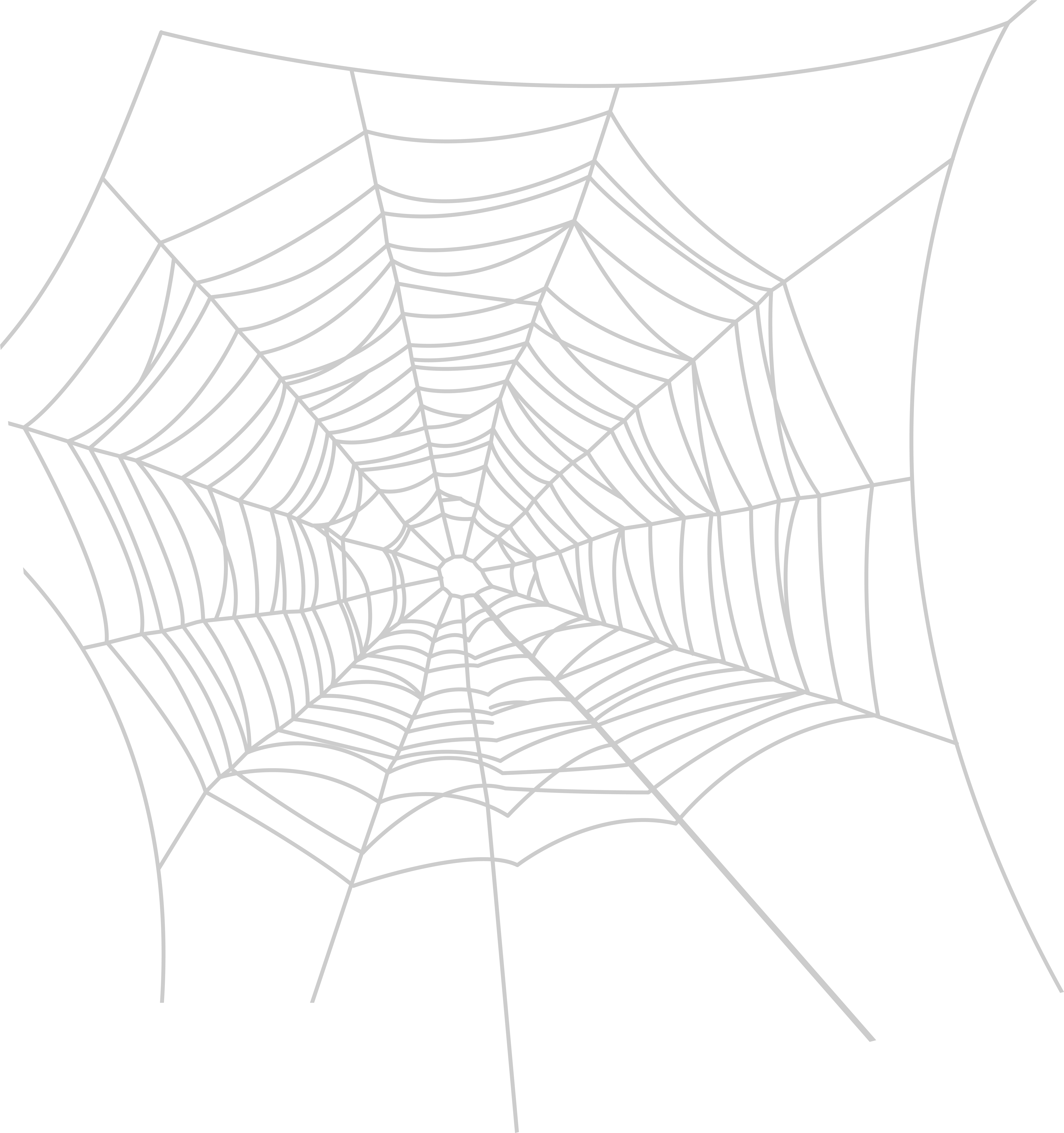 Web.png (7519x8000), Png Download