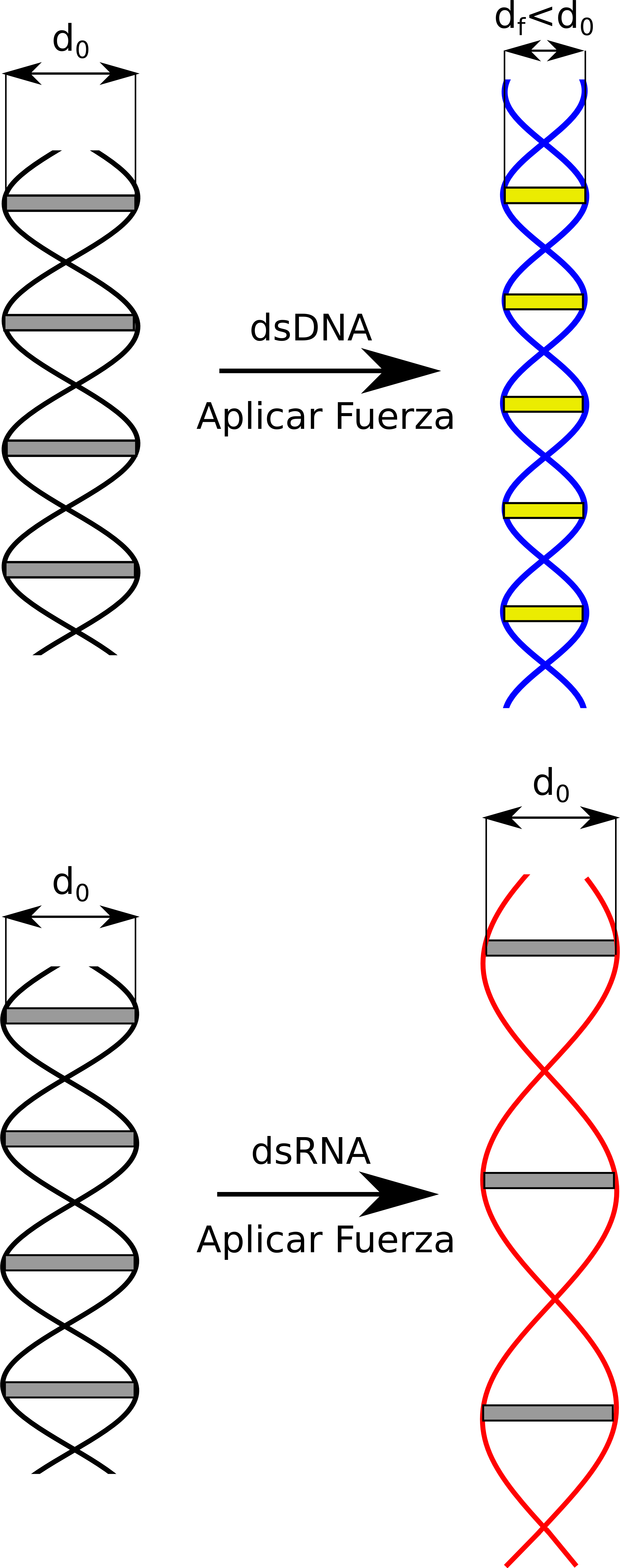 Dna Helix Png (2259x5713), Png Download