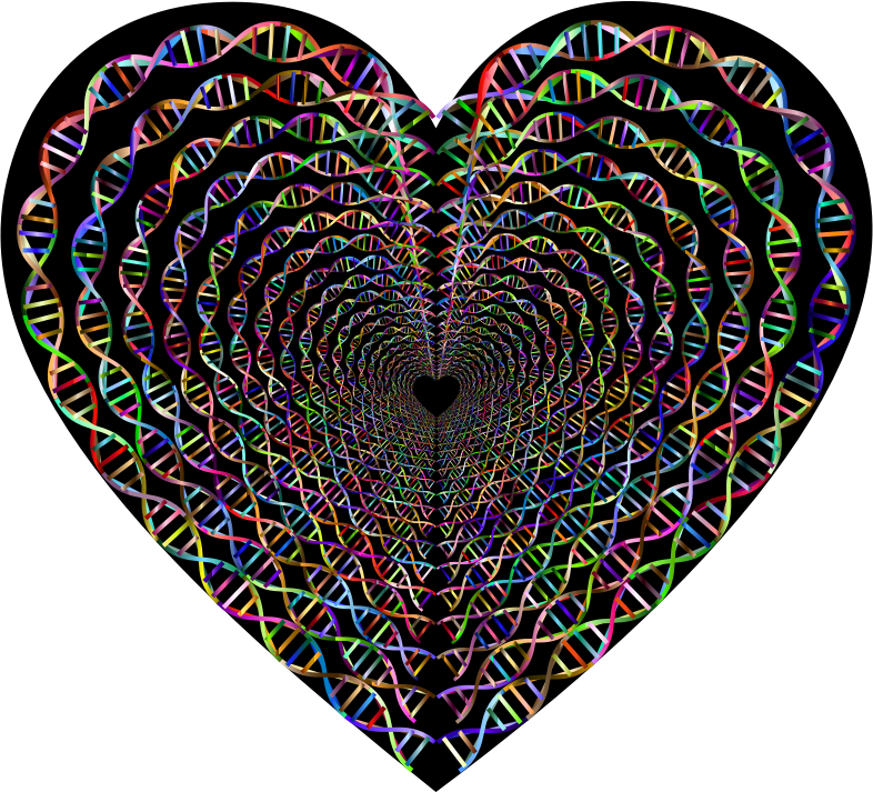Chromatic Dna Helix Heart Tunnel (786x713), Png Download