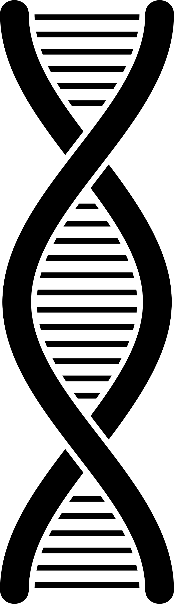 Big Image (674x2334), Png Download