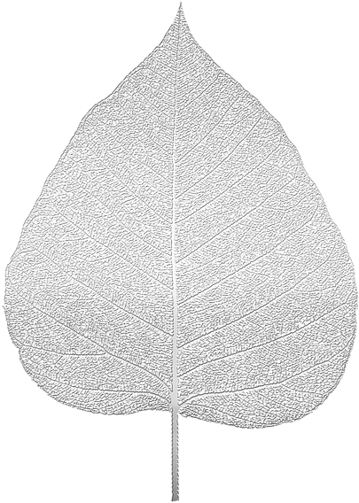 Bleed Area May Not Be Visible (600x600), Png Download