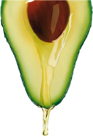 Aguacate Png (560x552), Png Download