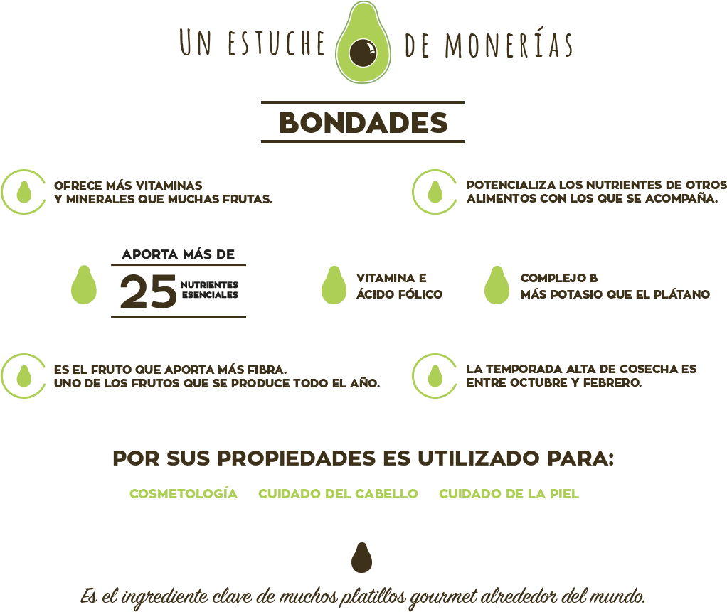Historia Del Aguacate (1100x860), Png Download