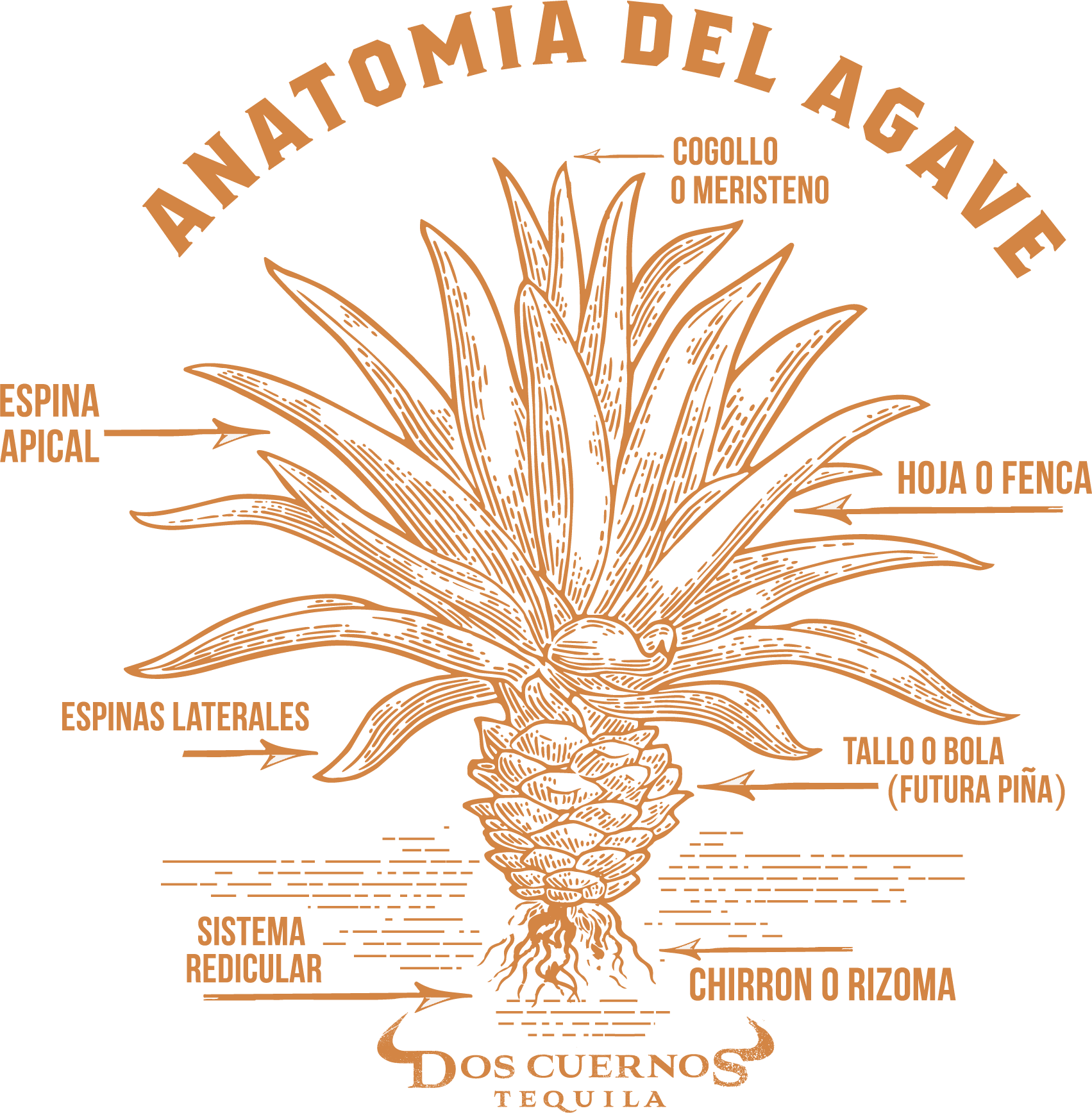 This Iframe Contains The Logic Required To Handle Ajax (1703x1736), Png Download