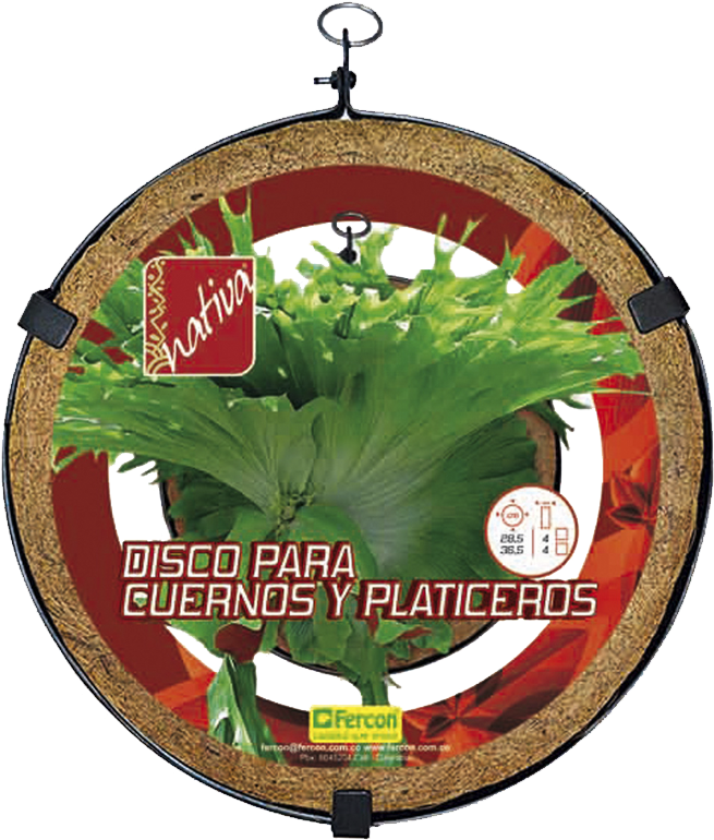 Disco Para Cuernos Y Platiceros 28 Cm (800x800), Png Download