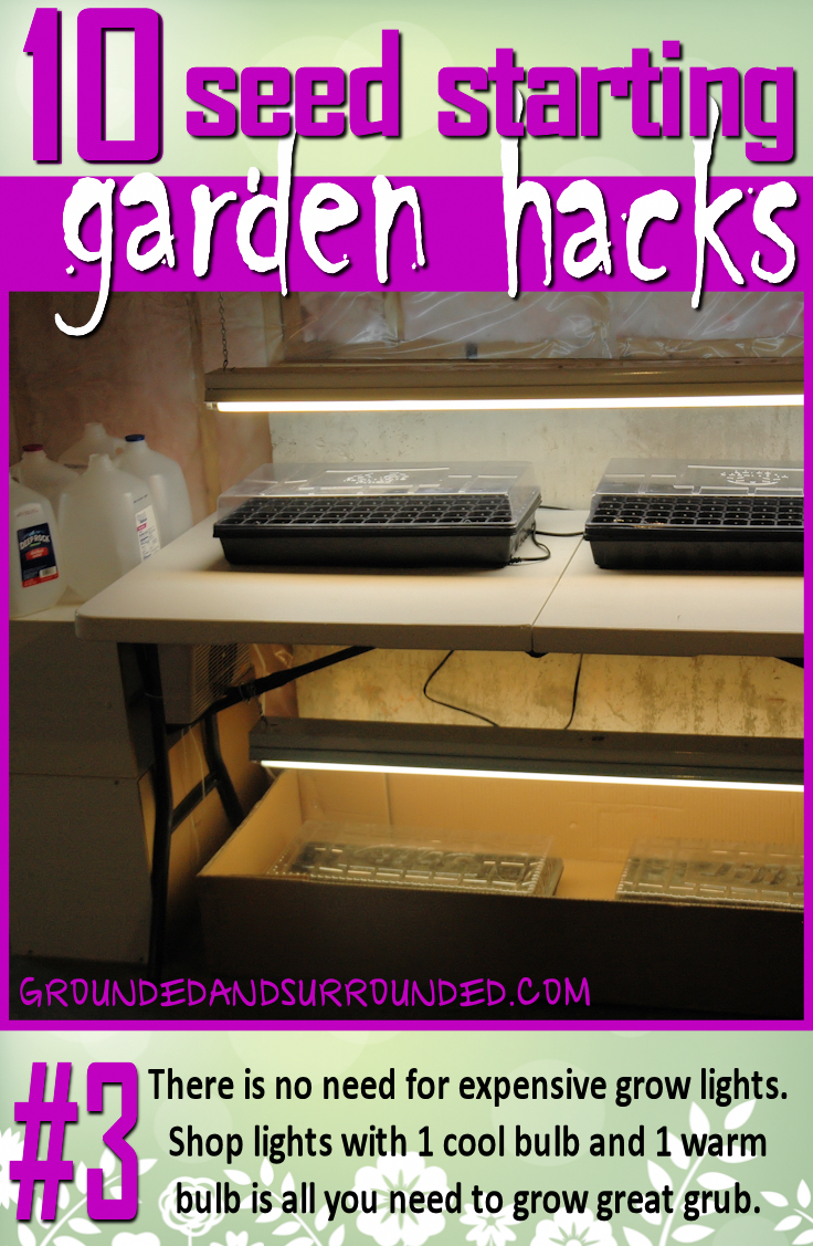 You Do Not Need Expensive Grow Lights (736x1127), Png Download