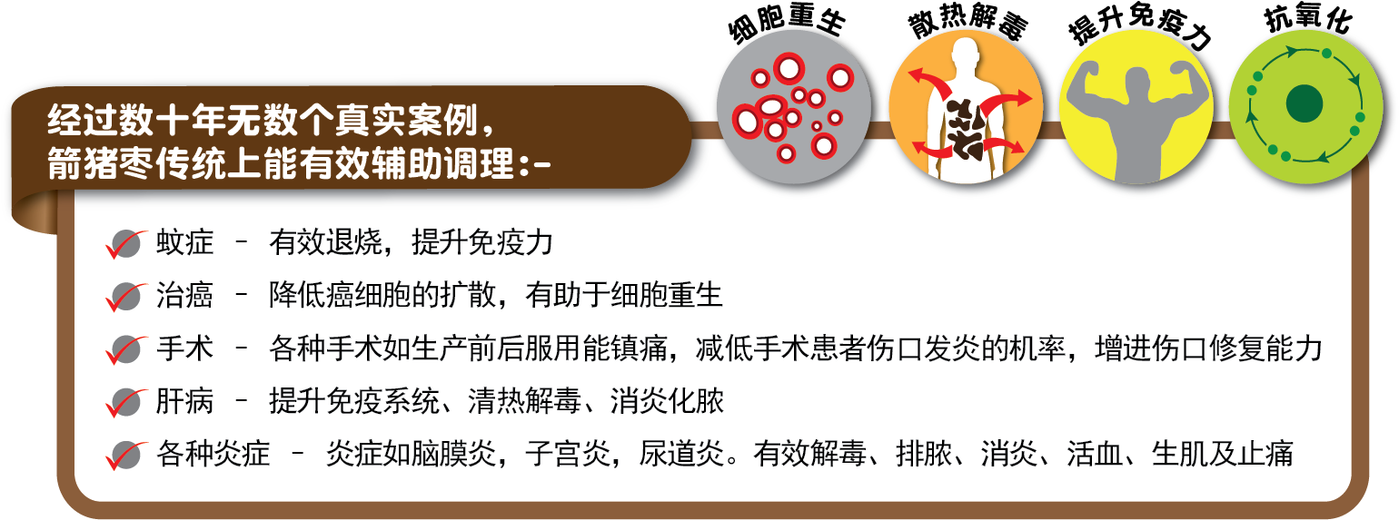 46 Pm 6561 Identifyporcupine 2/16/2015 (1546x621), Png Download