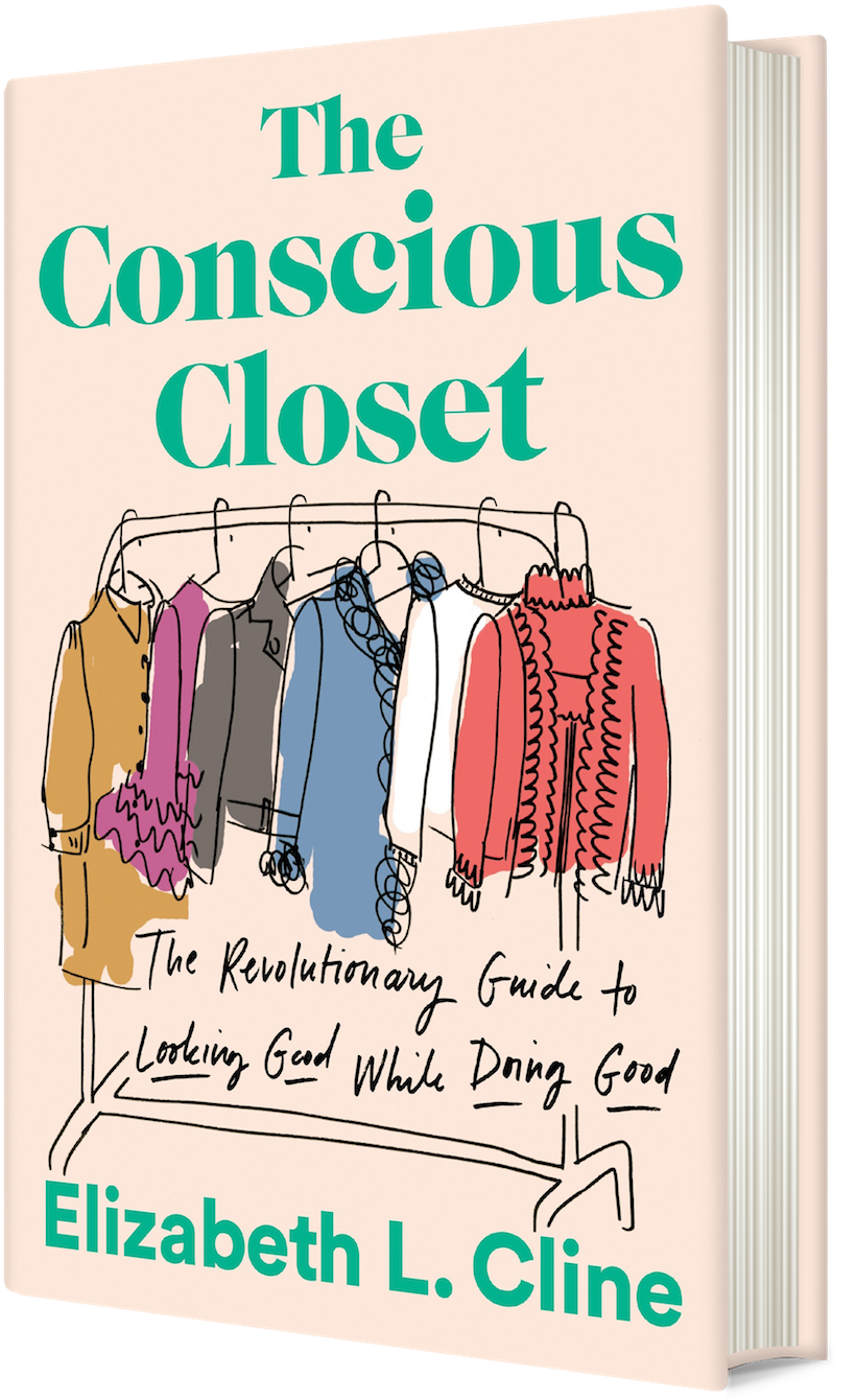 Consciouscloset Cover 300 (970x1454), Png Download
