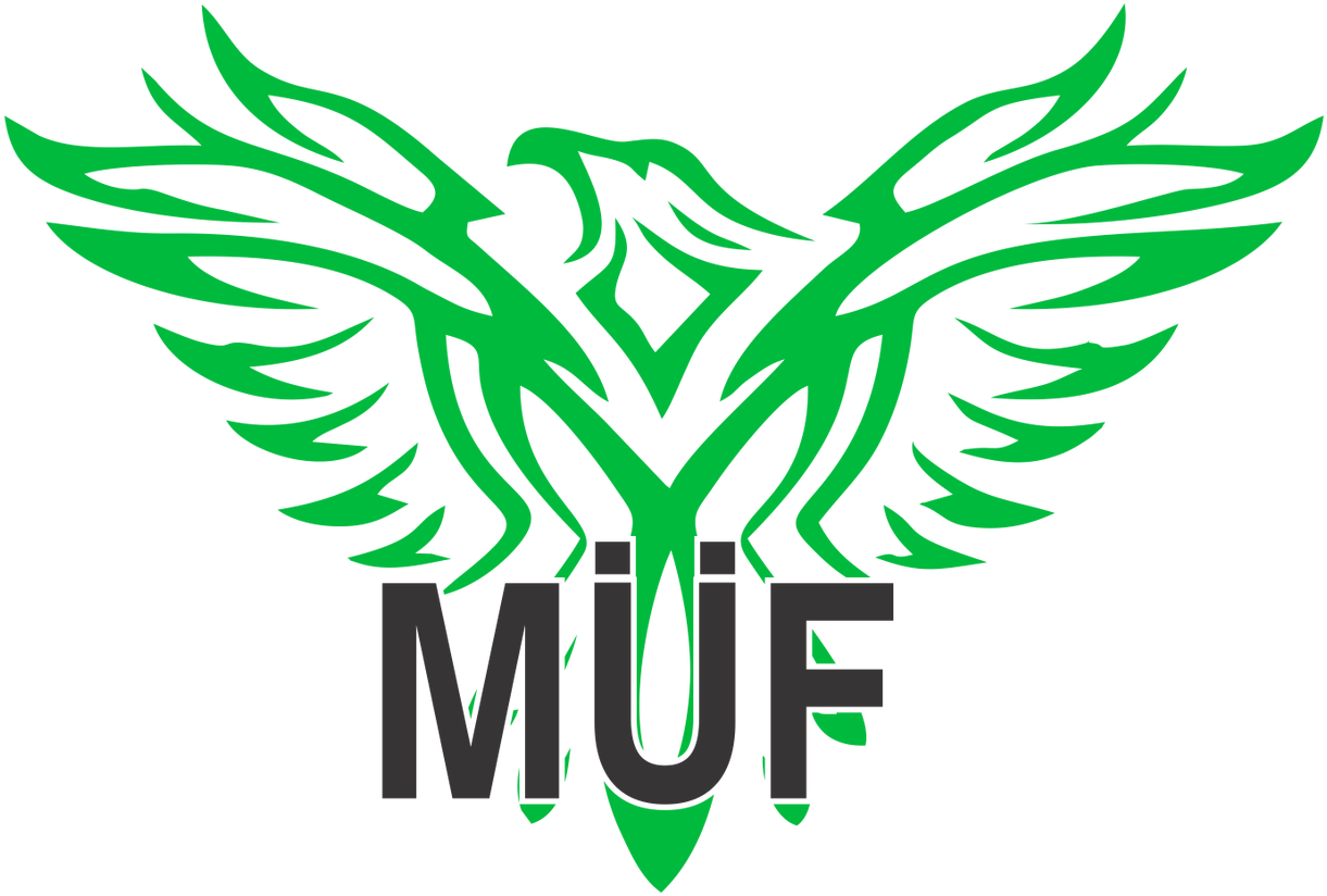 Ultimate Frisbee (1280x884), Png Download