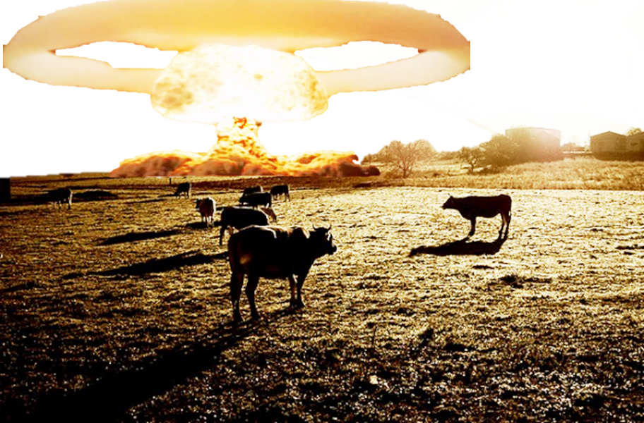 Nuke The Cows (912x600), Png Download