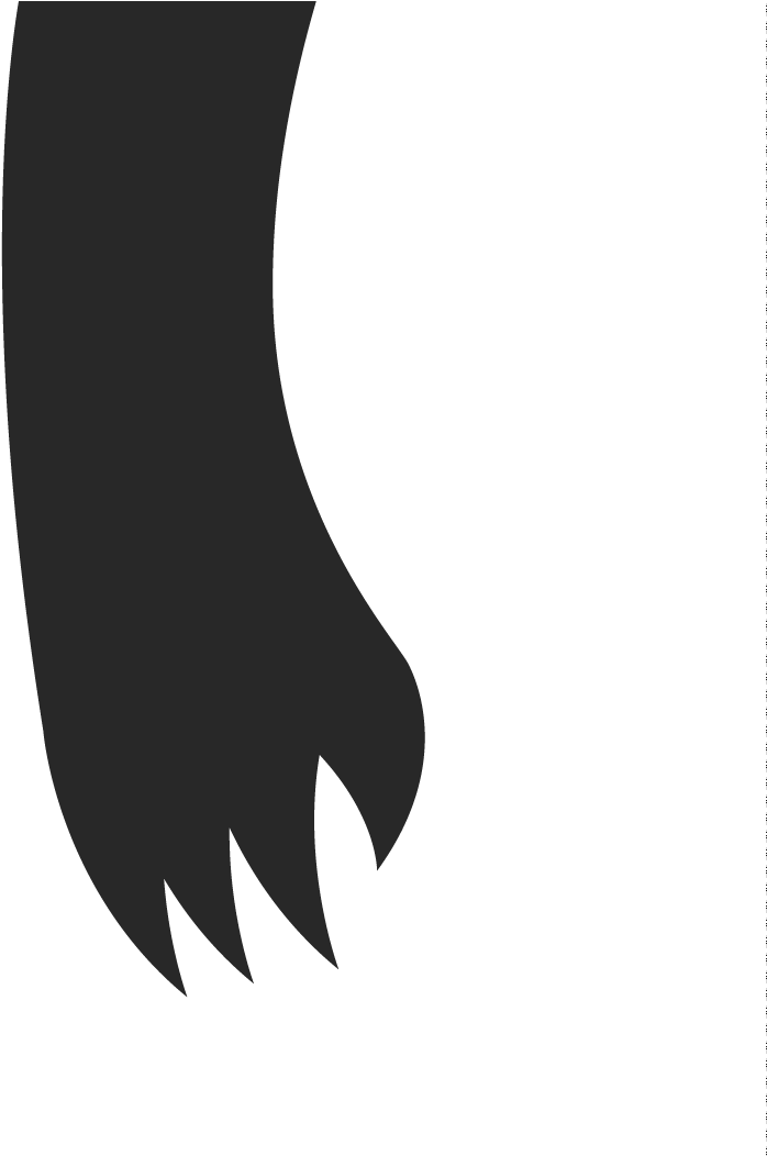 Honey Badger Png (1000x1051), Png Download