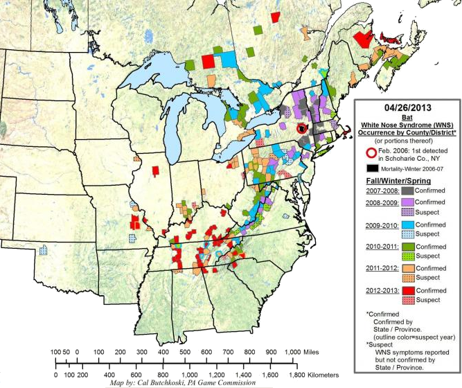 Expansion Of White-nose Syndrome In (667x560), Png Download
