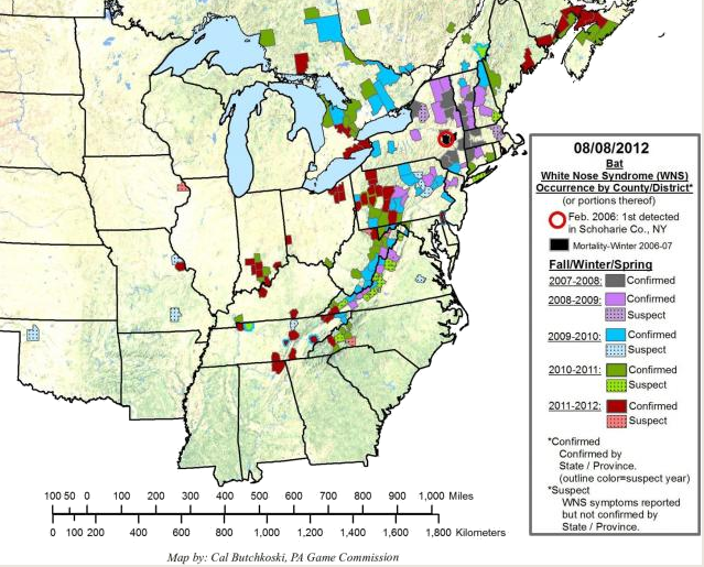 Expansion Of White-nose Syndrome In (639x515), Png Download