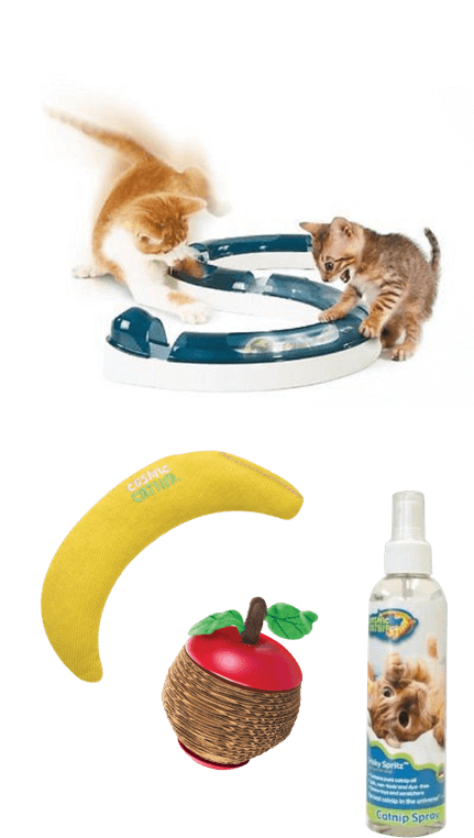 If Your Kitten Is Nervous Or Anxious, A Pheromone Spray (431x762), Png Download