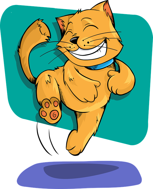 Cat, Animal, Funny, Cute, Adorable, Happy, Excited (582x720), Png Download