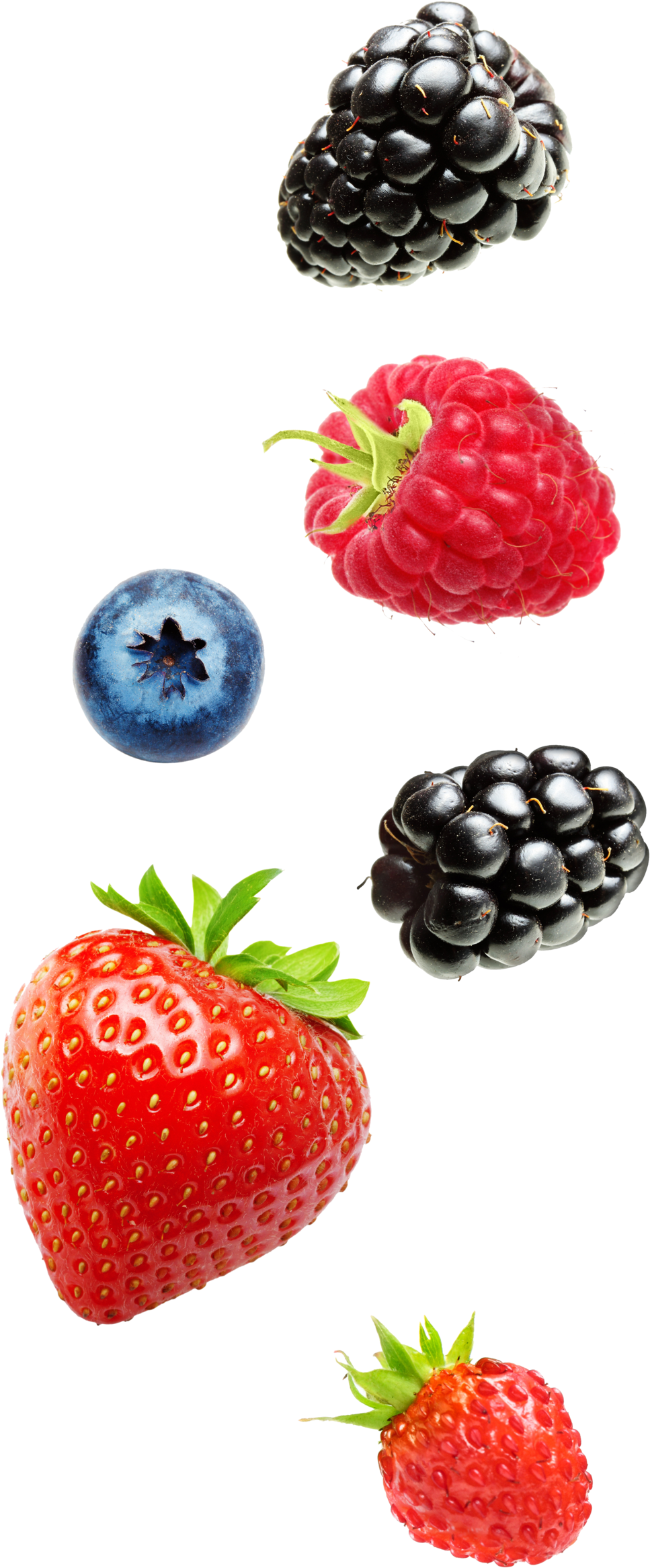 Falingfruit (1000x2384), Png Download