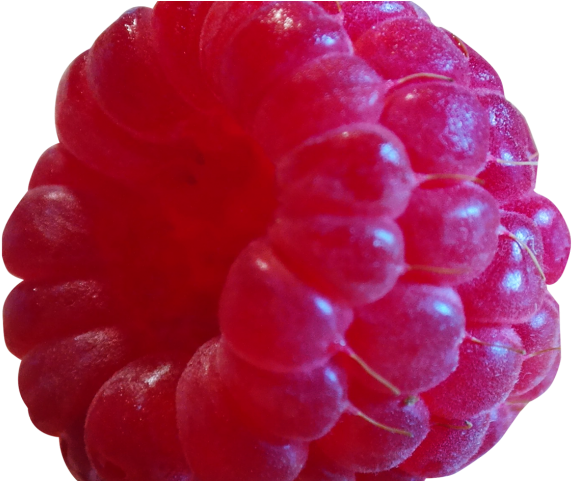 Blackberry Fruit Png Transparent Images (640x480), Png Download