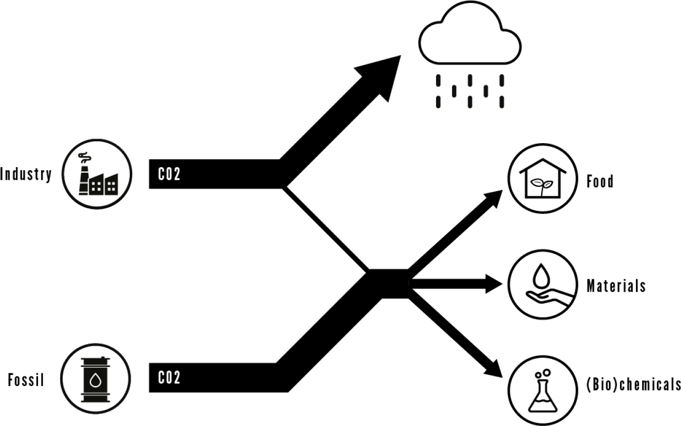 2361402328 (1500x850), Png Download