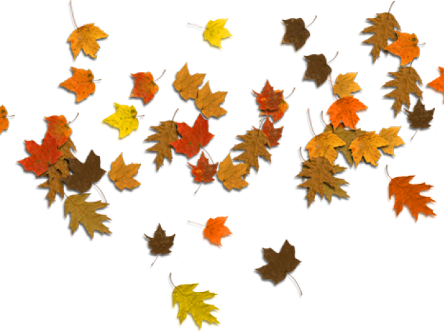Autumn Leaves Clipart Corner Border (640x480), Png Download