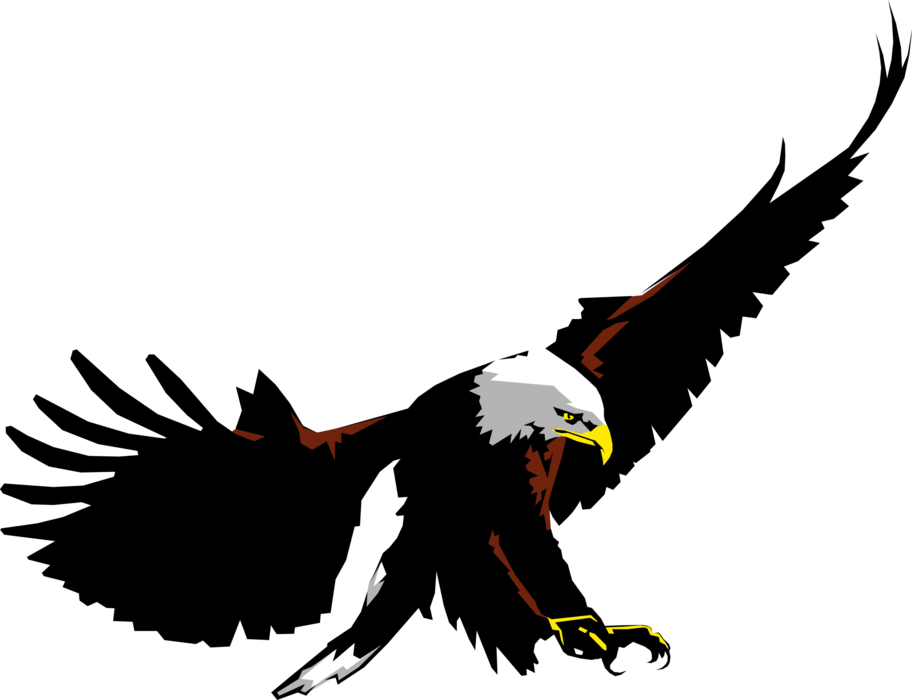 Vector Illustration Of American Bald Eagle National (912x700), Png Download
