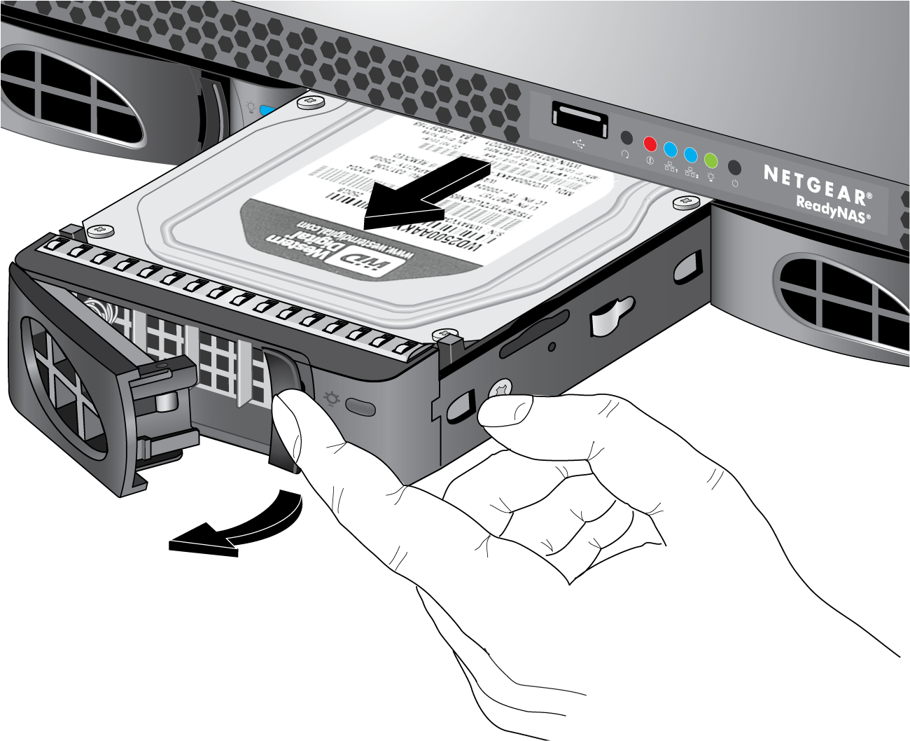 Image (1348x1110), Png Download