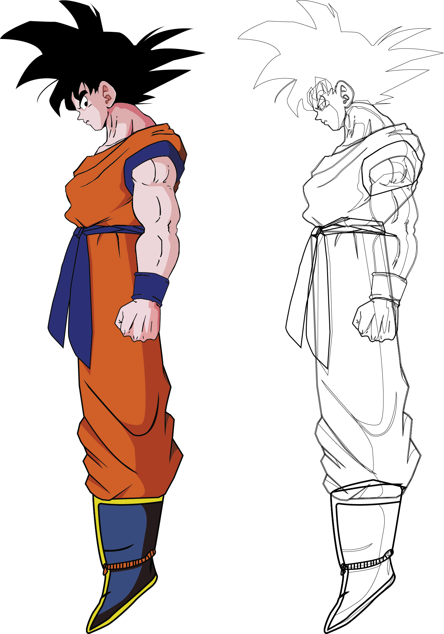 Right Part Is Vector Outlines (1436x2050), Png Download