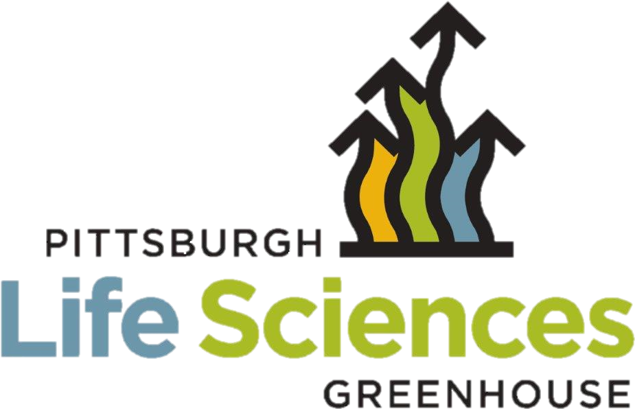 Behavior Change And Patient Engagement (1024x659), Png Download