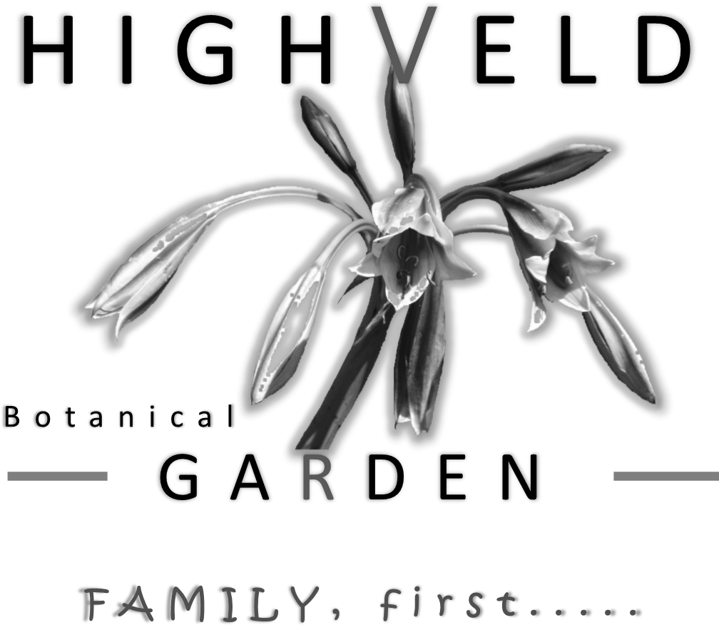 Cropped Hg Logo Plain Bw (1093x979), Png Download