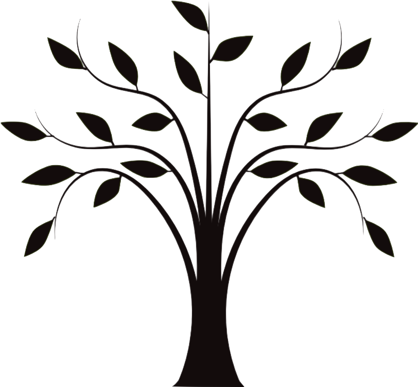 Drawing Tree Trunk Clip Art (835x793), Png Download