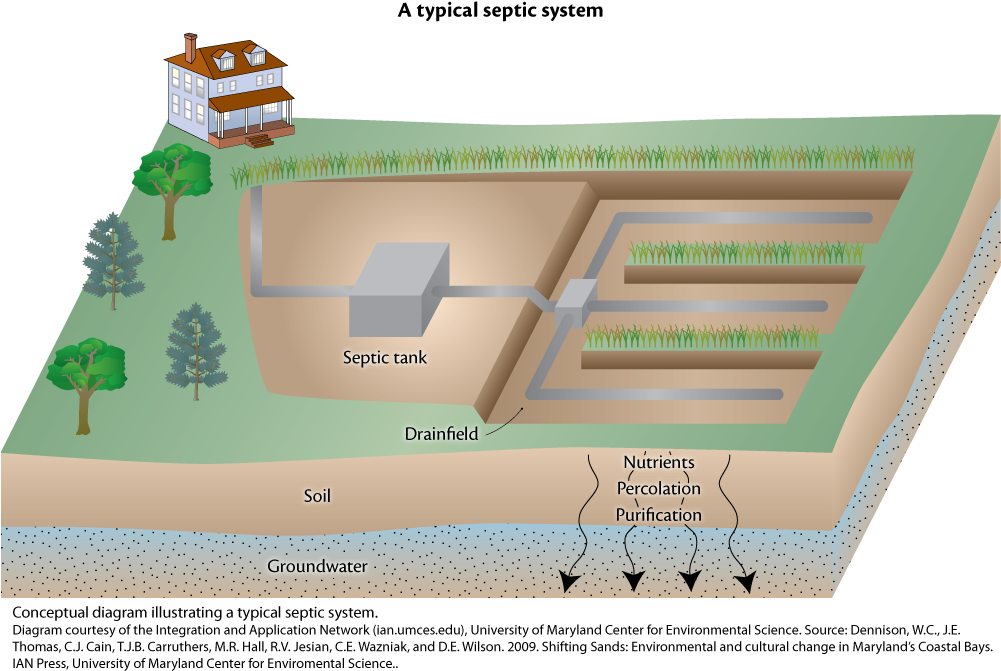 Iil Diagram Septic S (1000x677), Png Download