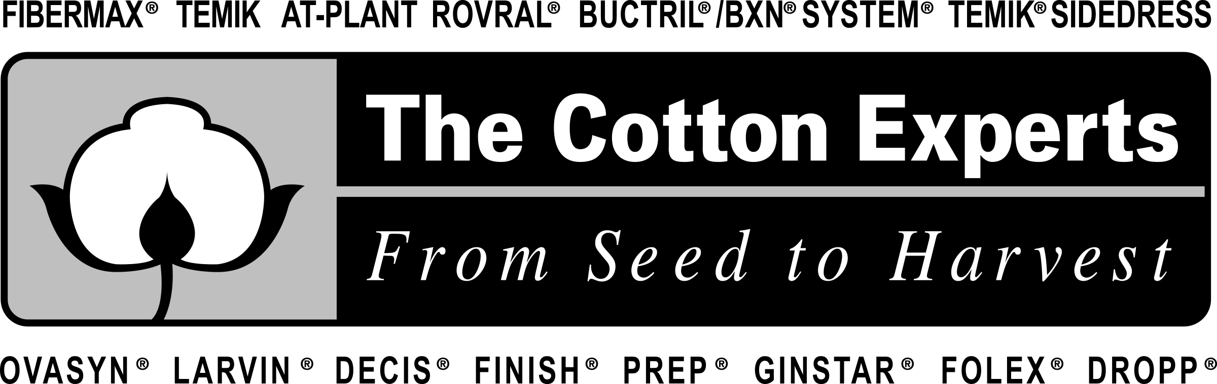 Cotton Experts Logo Png Transparent (2400x759), Png Download