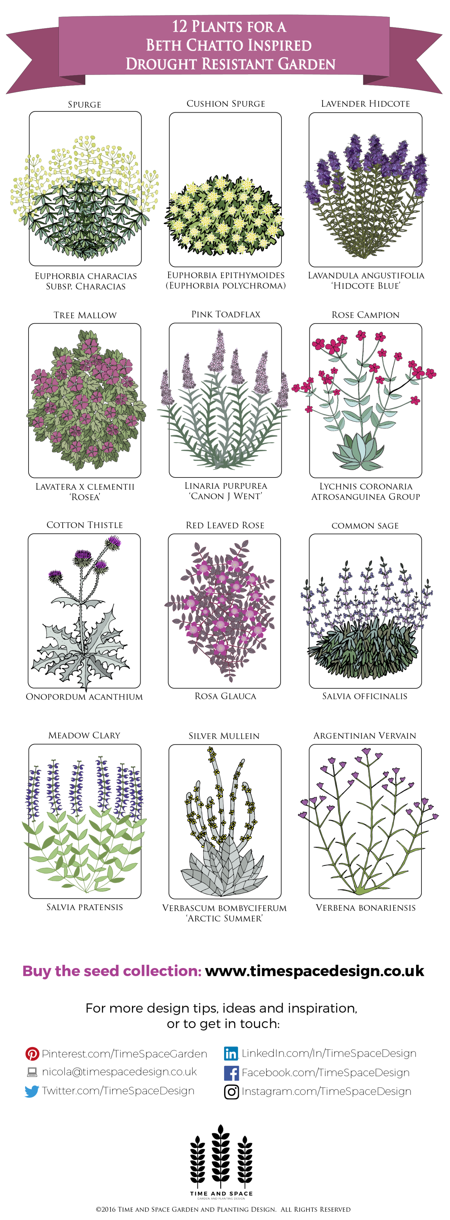 12 Plants For A Drought Resistant Garden (1500x4068), Png Download