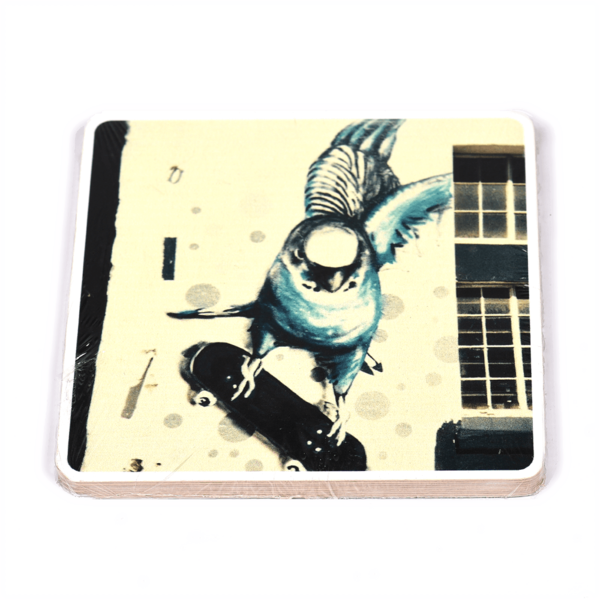 Budgie Png (600x600), Png Download