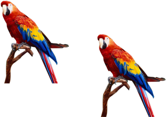Do Professional Photoshop Editing Fast In 4 Hours (680x453), Png Download