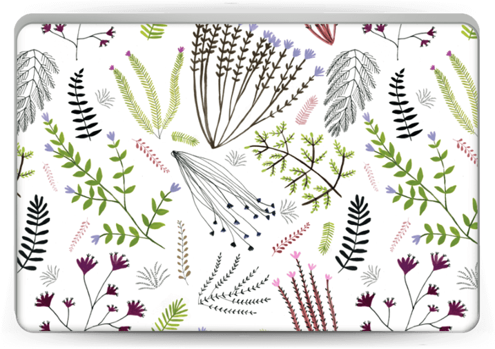 Vegetation (800x533), Png Download