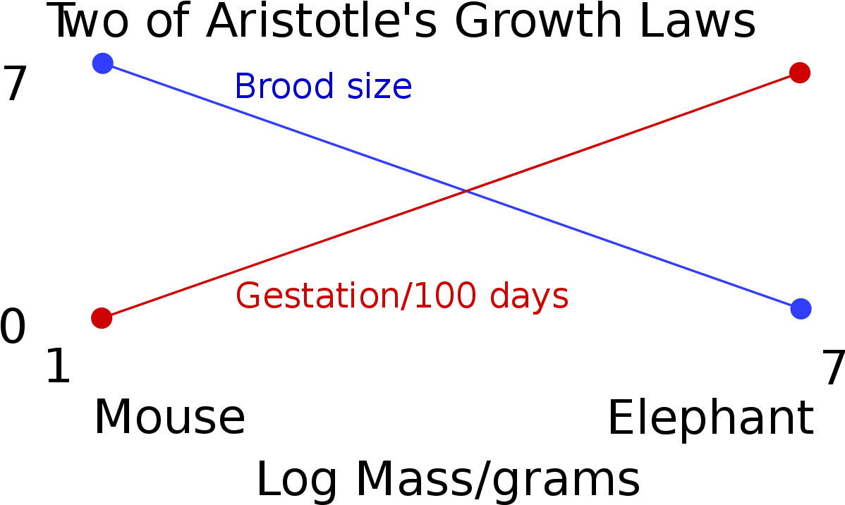 Two Of Aristotle's Growth Laws (1280x776), Png Download