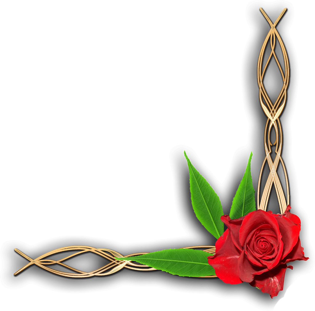 Floral Corner Border Png (1024x1010), Png Download