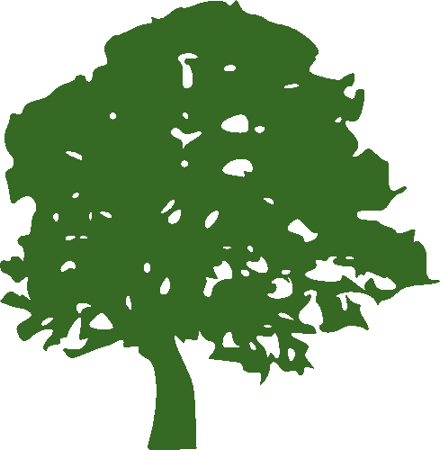 Fruit Tree Silhouette2 - Green Tree Clip Art (489x500), Png Download