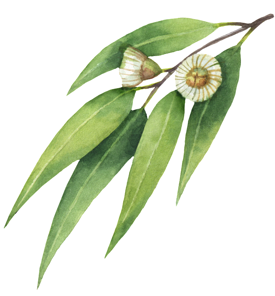 This Graphics Is Daisy Willow Leaf Transparent About - Obraz Enjoy Every Moment 44 X 44 Cm (1024x1024), Png Download