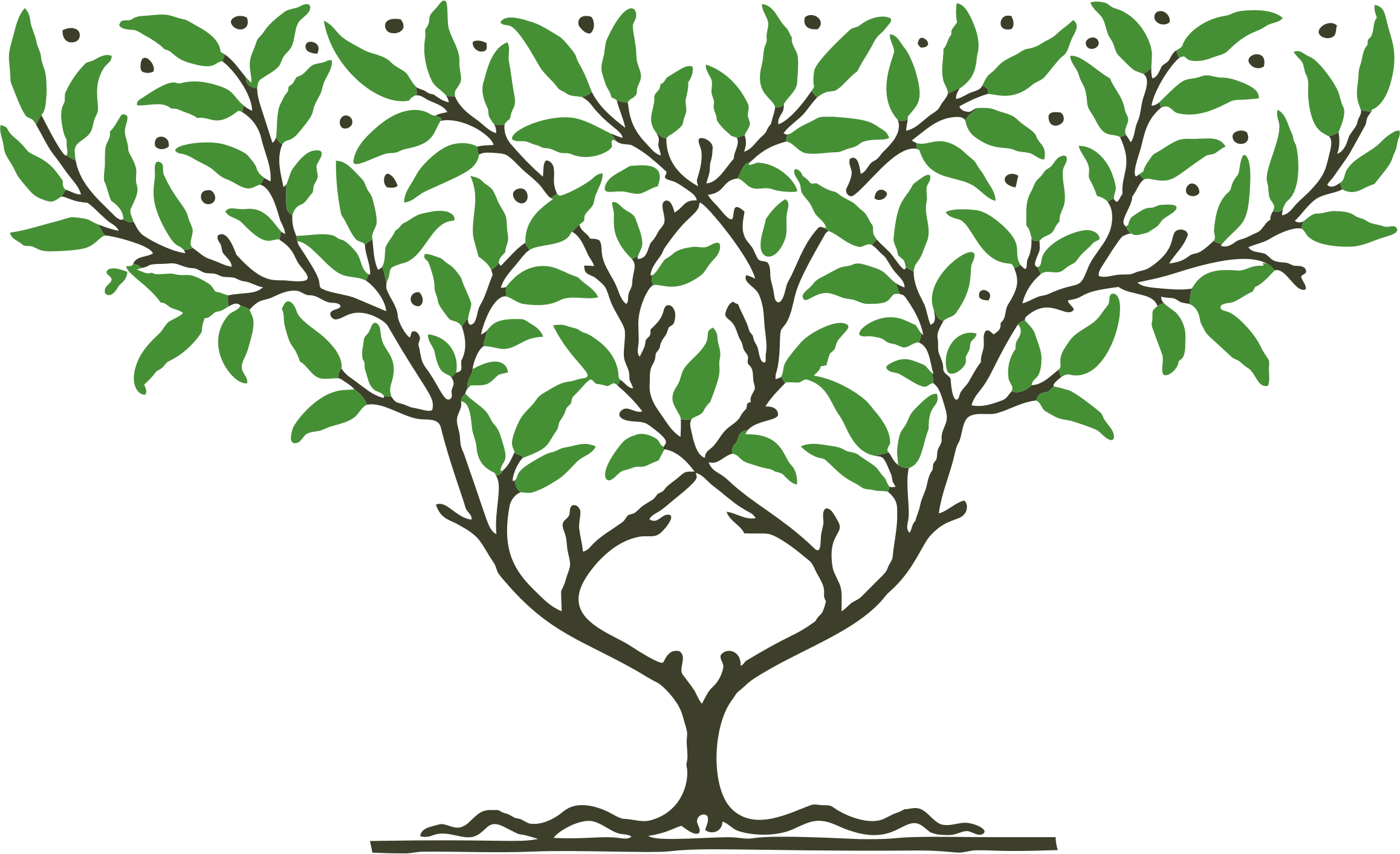 Big Image - Tree (2316x1414), Png Download