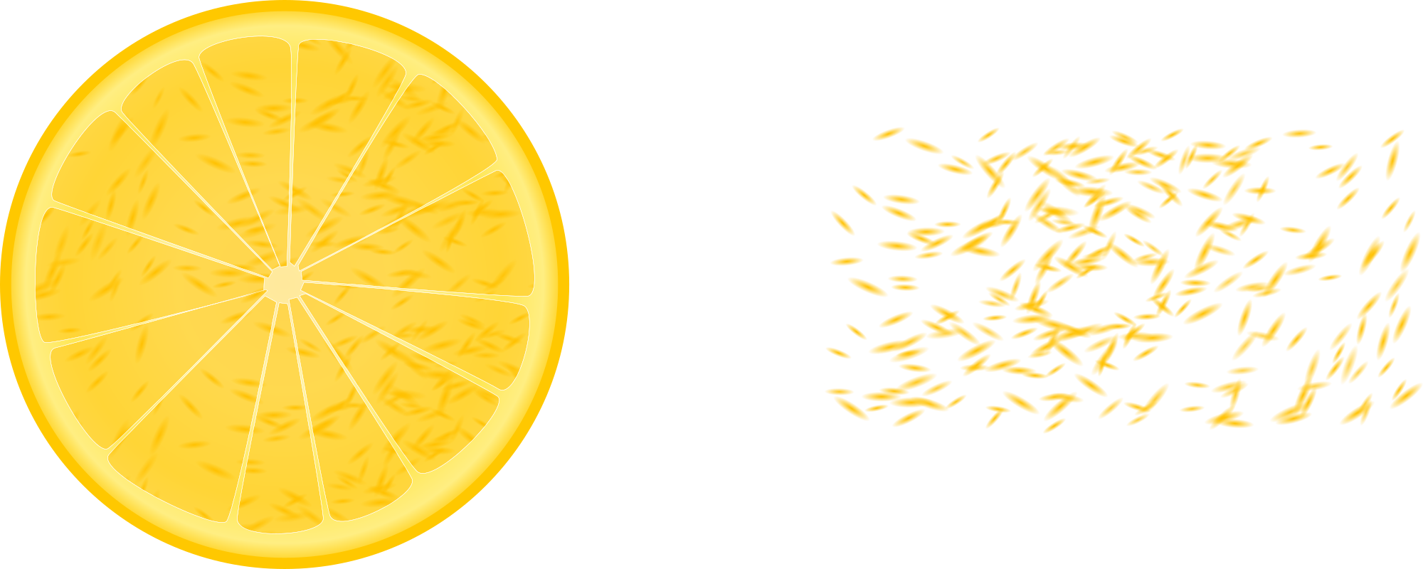 Lemon, Citron, Citrus, Food, Fruit, Orange, Slice - Orange Slice Png Transparent (640x320), Png Download