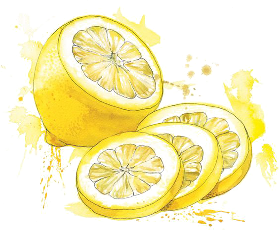 Clip Download Painting Food Illustration Lemon Transprent - Watercolor Painting (564x541), Png Download